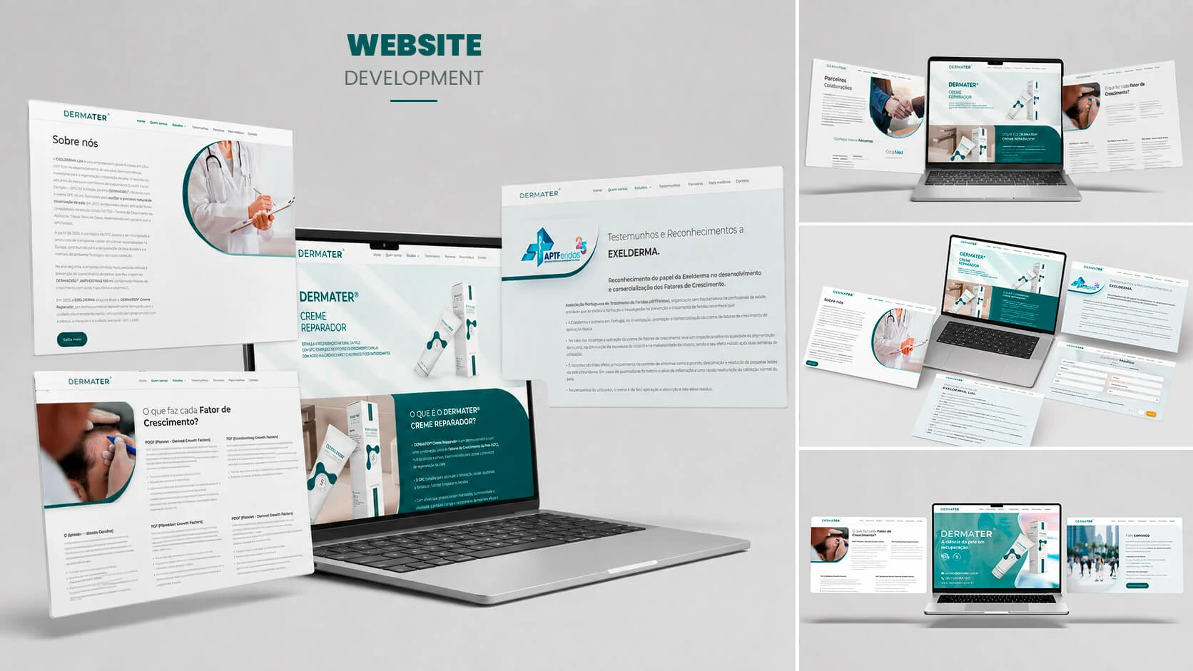 Dermater website ecosystem