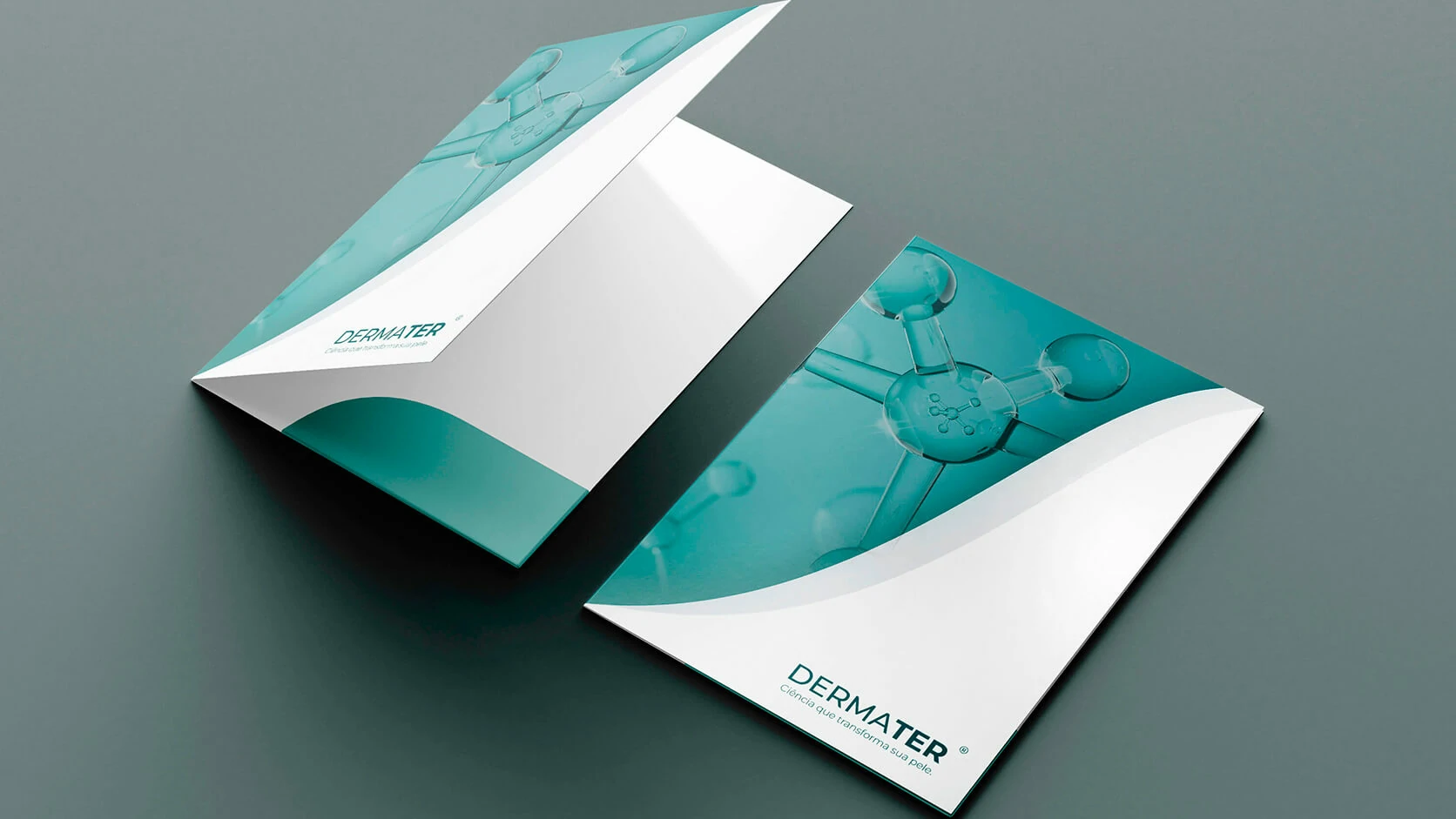 Dermater sales support print materials