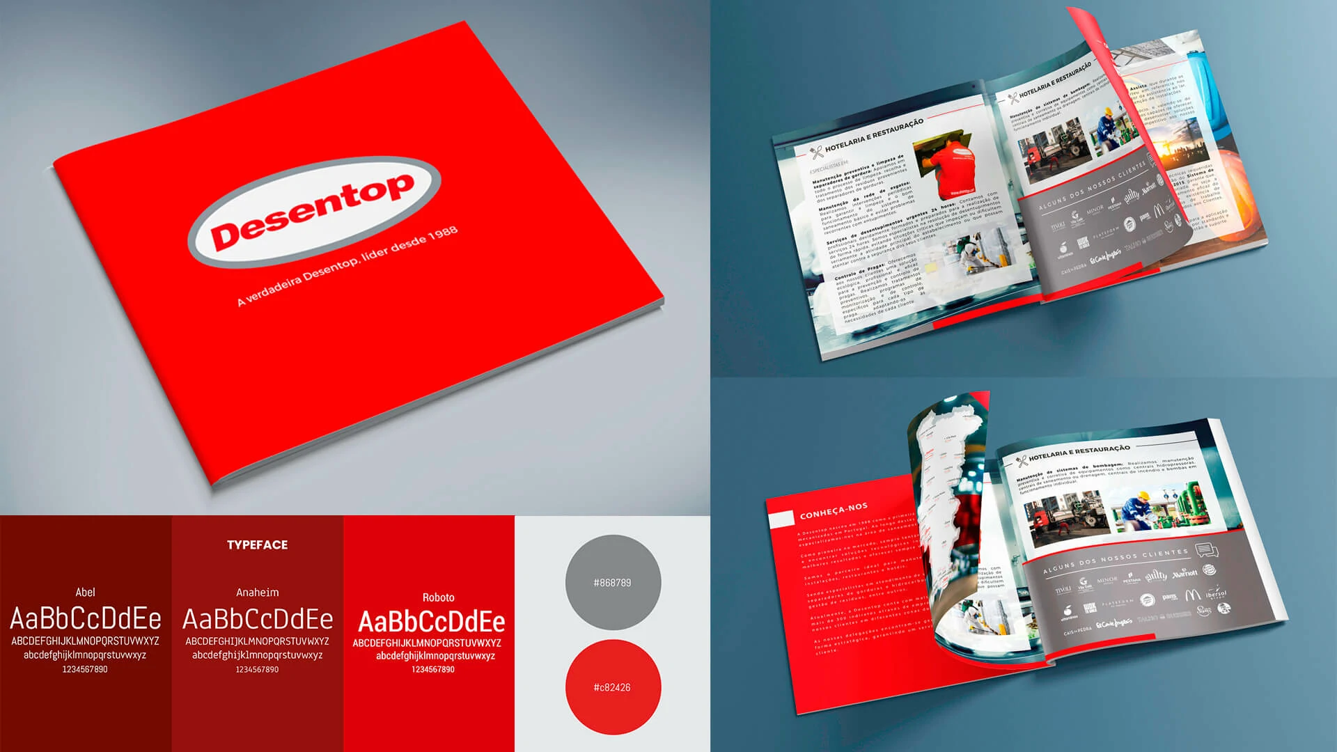 Desentop brochure overview showing cover, typography, colour system and editorial spreads